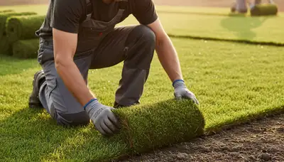 Professional landscaper installing sod rolls with precision in Naperville, IL lawn renovation project