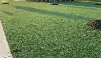 Freshly applied hydroseed lawn in Naperville, IL showing even green slurry coverage by professional landscapers